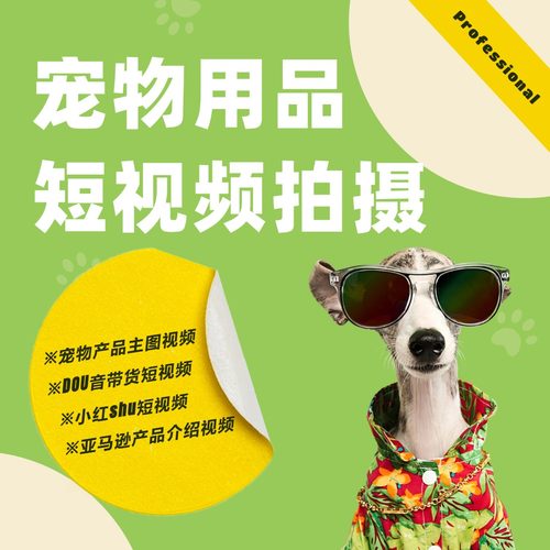 亚马逊电商宠物模特用品拍摄信息流视频狗狗猫咪摄影产品拍照视频