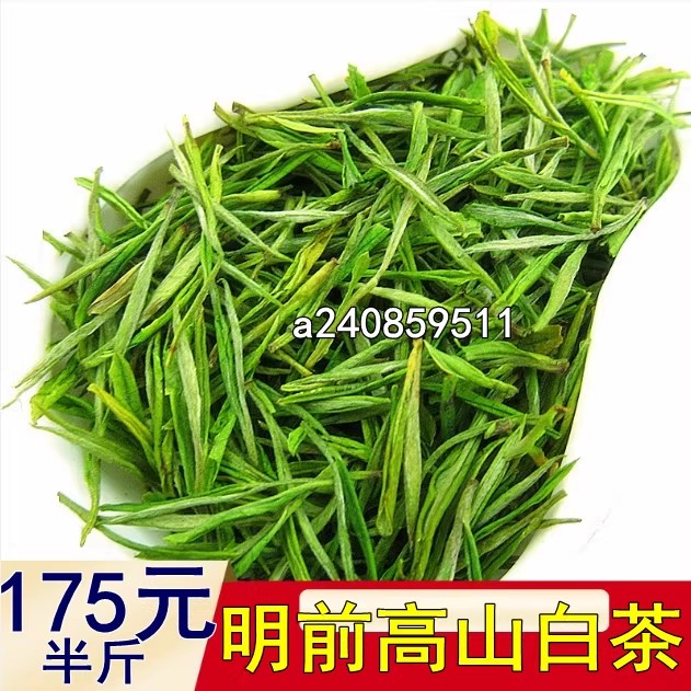 2026高山白茶新茶250克白茶
