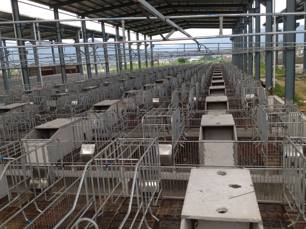 颖昌牌 高床分娩栏/母猪产床/母猪分娩栏/猪苗繁育成套设备