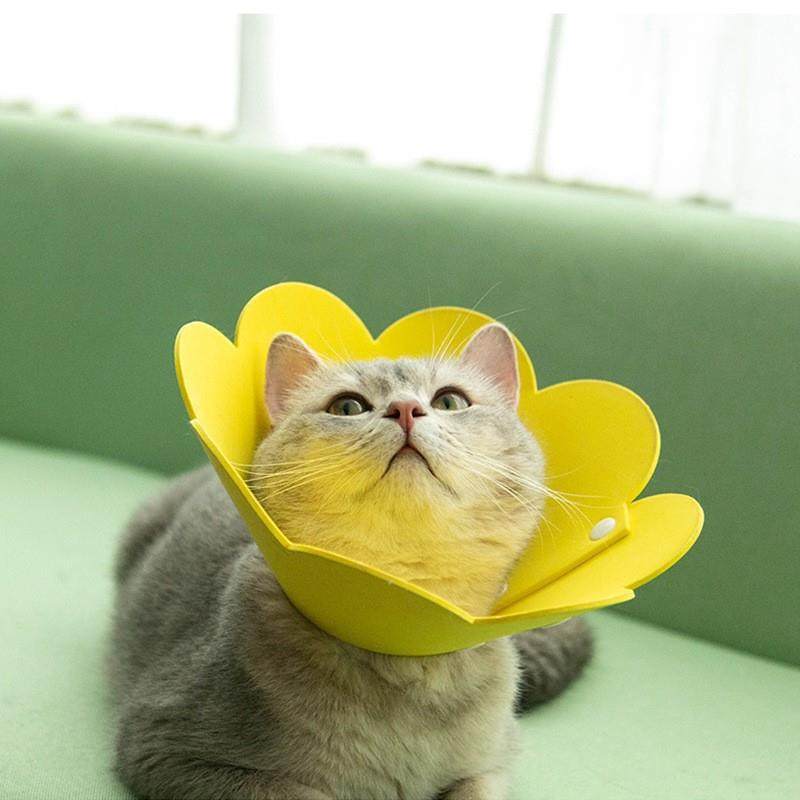 伊丽莎白圈无纺布宠物猫咪头套太阳花按扣脖圈防舔咬挠绝育耻辱圈,宠物/宠物食品及用品,宠物伊丽莎白圈,淘宝优惠券,粉丝福利购,淘宝优惠卷