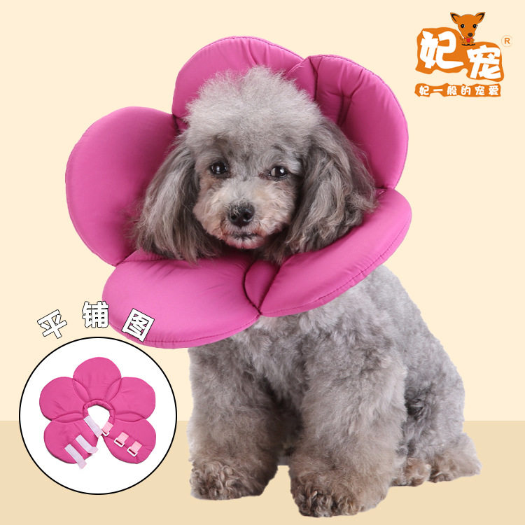 厂家直销伊丽莎白猫咪狗狗防舔伤可调节狗护圈绝育防抓伤宠物围脖,宠物/宠物食品及用品,发饰/头饰,淘宝优惠券,粉丝福利购,淘宝优惠卷