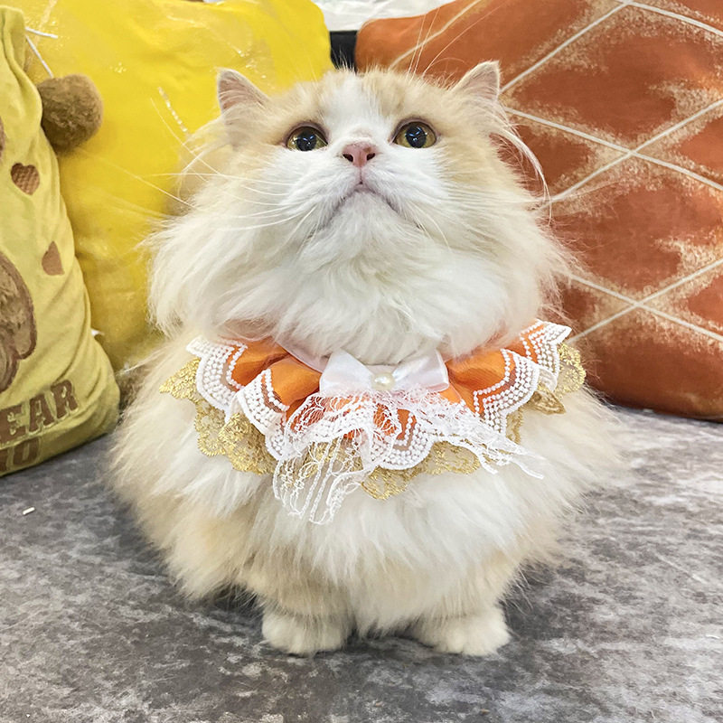 猫咪围脖领结宠物项圈围兜口水巾针织围领装饰品围嘴可爱饰品批发,宠物/宠物食品及用品,发饰/头饰,淘宝优惠券,粉丝福利购,淘宝优惠卷