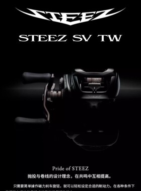 DAIWA 达瓦24款 STEEZ SV 19款 STEEZ CT SV TW 水滴轮路亚泛用