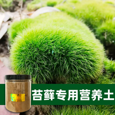 青苔藓专用营养土室内外阳台绿植加肥生态微景观造景种植黑土肥料