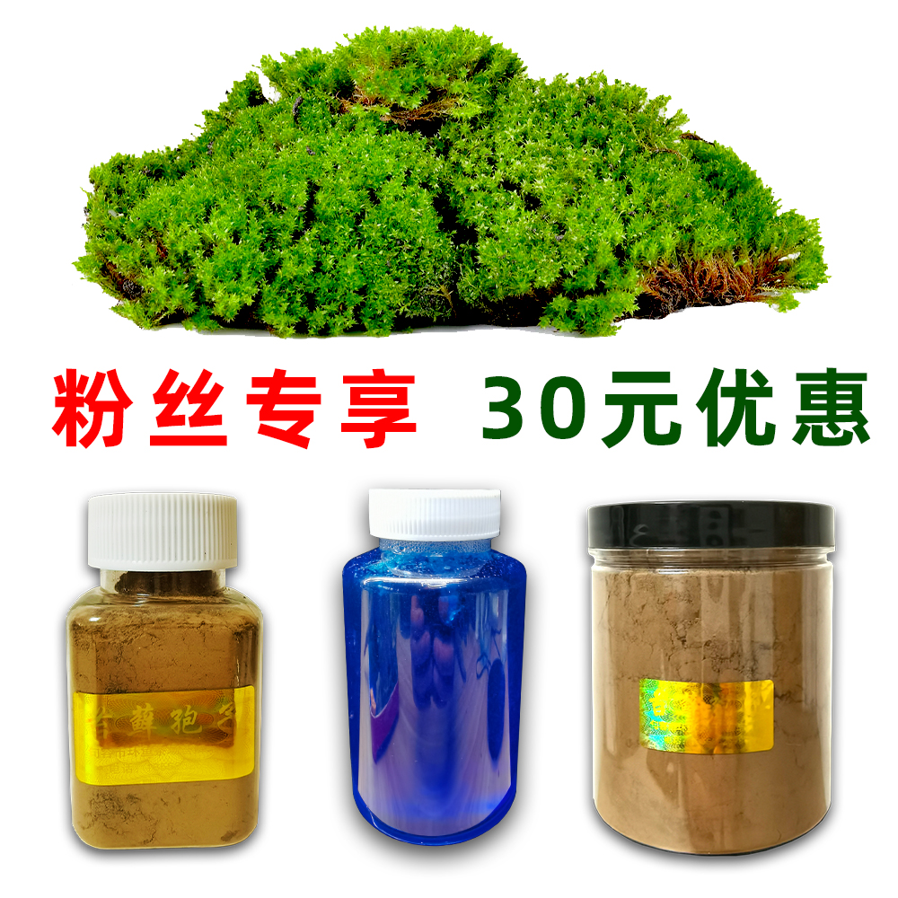 苔藓微景观材料包生态植物微景观材料包水陆鱼缸造景材料包盆景