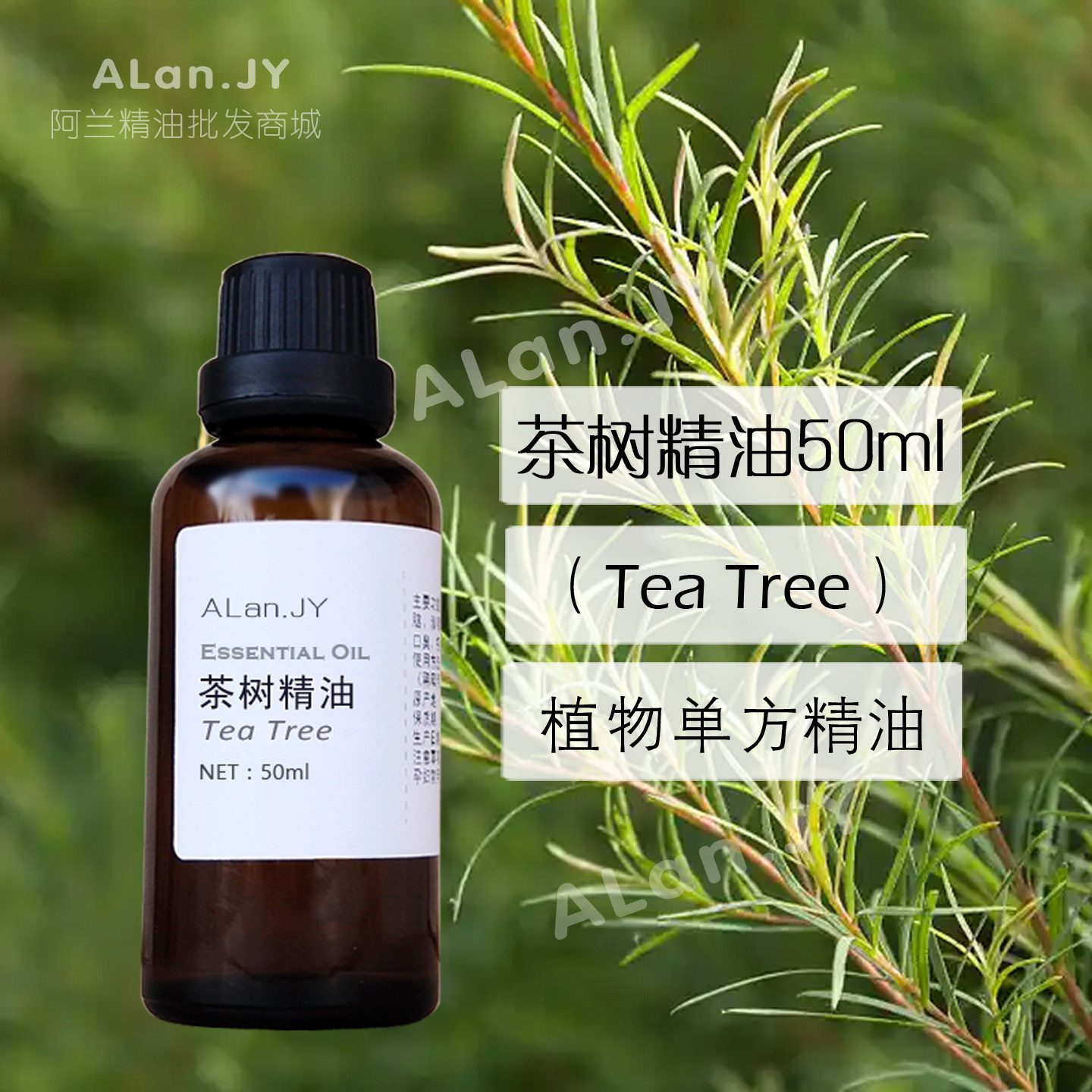 纯澳洲茶树精油50ml单方消除痘控油收缩毛孔提神去印去屑香薰原料