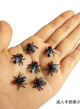 仿真小苍蝇昆虫模型吓人恶搞整蛊动物道具教具标本假苍蝇昆虫玩具