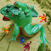 仿真软胶青蛙模型爬行动物树蛙癞蛤蟆蟾蜍幼儿园早教认知教具儿童