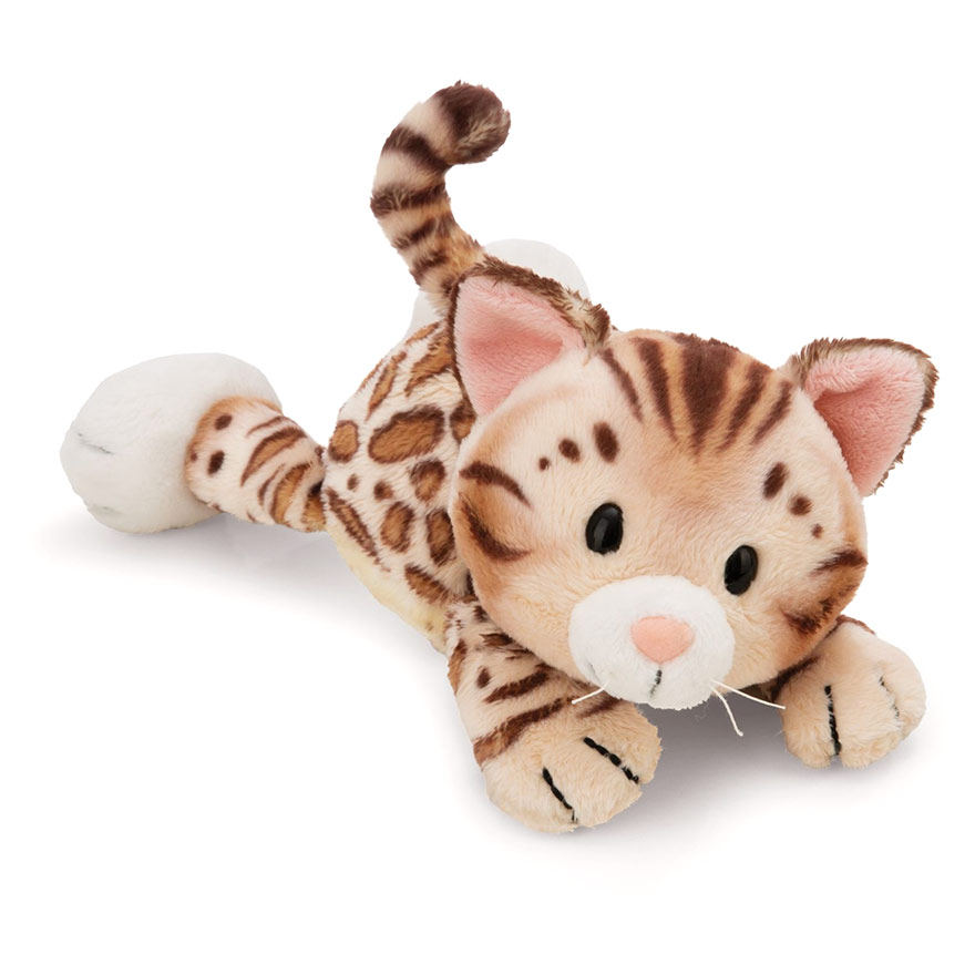 HomiesBengalCat孟加拉猫