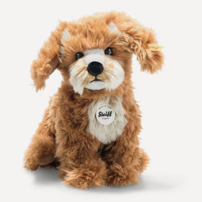 SteiffCurlieCockapoo