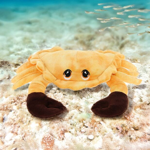 KeelToysKeelecoCrab螃蟹