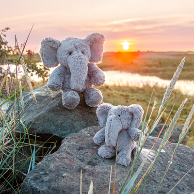 AllCreaturesHazelElephant