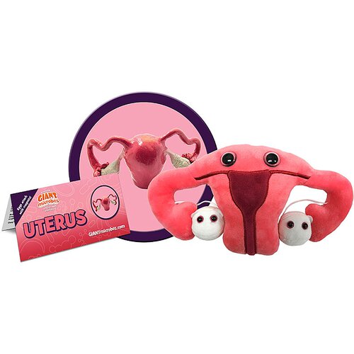 英国代购正品07.13 Giant Microbes Uterus教育辅材子宫毛绒玩偶