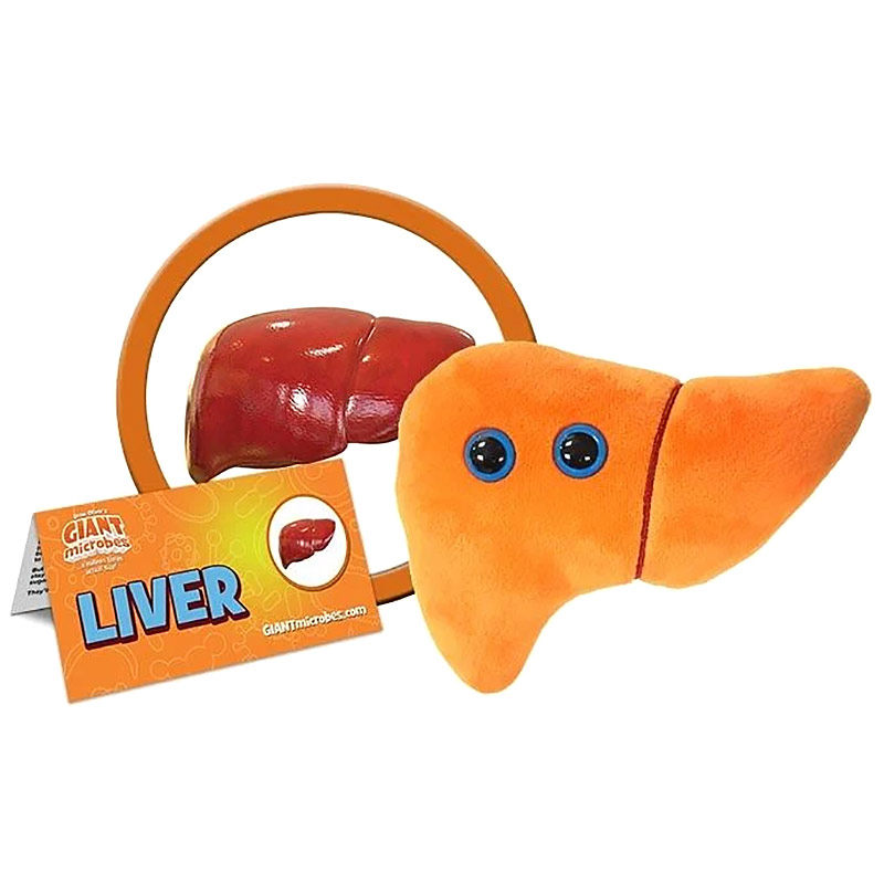 GiantMicrobesLiver