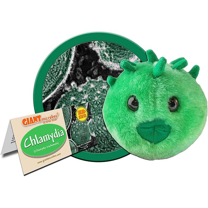 英国代购正品07.13 Chlamydia 巨型微生物衣原体玩偶 教育辅材