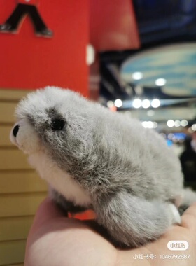 英国代购正品01.18 jellycat Nauticool Grey Seal 摆酷灰色海豹