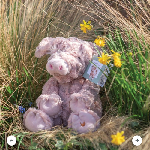 'Vanessa'PigCharacter粉红猪