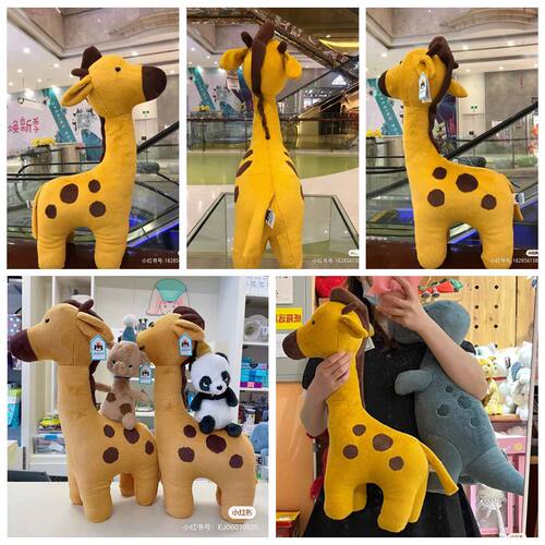 Giraffe可爱的长颈鹿