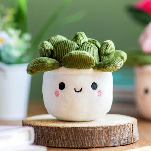 KeelToysBobballsSucculent