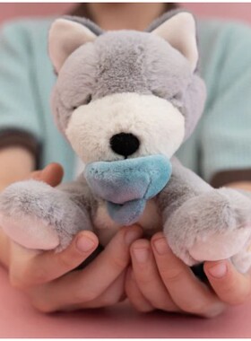 英国代购正品01.01 Binky Puppy - Banjo 吃奶嘴的哈士奇狗狗