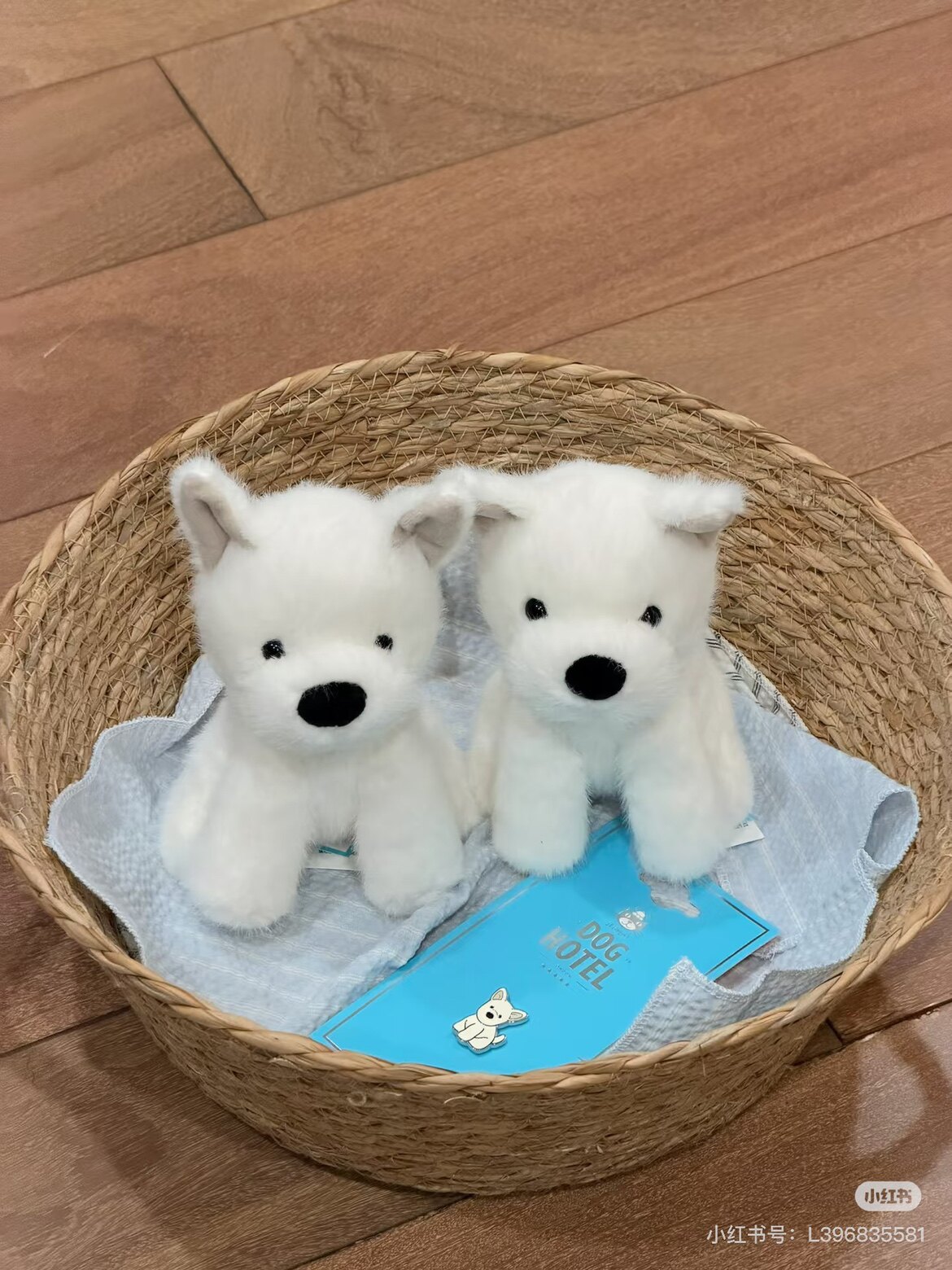 国内现货秒！08.06 Jellycat西高地崽苏格兰梗犬 西高地幼崽小狗