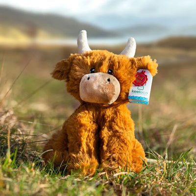 KeelToysKeelecoHighlandCow
