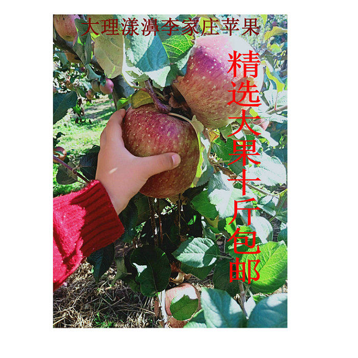 漾濞李家庄糖心苹果新鲜水果摘甜脆10斤整箱云南大理绿色阿克苏,水产肉类/新鲜蔬果/熟食,苹果,淘宝优惠券,粉丝福利购,淘宝优惠卷