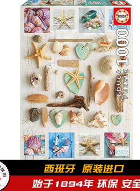 Educa西班牙进口拼图 儿童成 贝壳学院1000片 17658