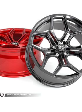 FACEWHEELS FW-S03款单片锻造VIP轻量化轮毂(适用于越野车车型)