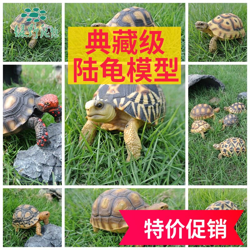 陆龟模型亚达星龟辐射豹龟苏仿真玩具手工汽车桌面摆件小乌龟造景