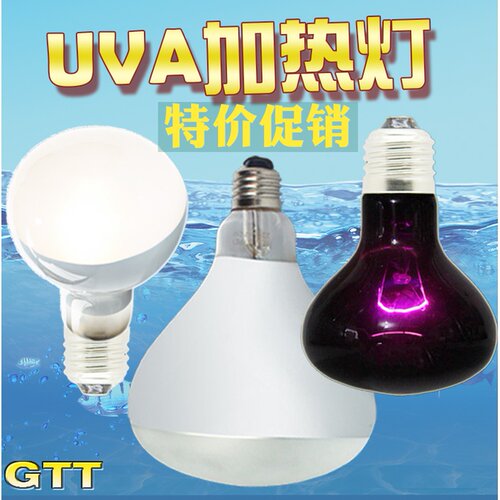 爬虫夜灯日灯加热灯防爆蜥蜴