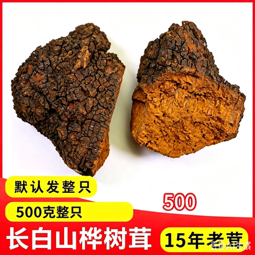 桦褐孔菌桦树泪桦树500克桦树茸