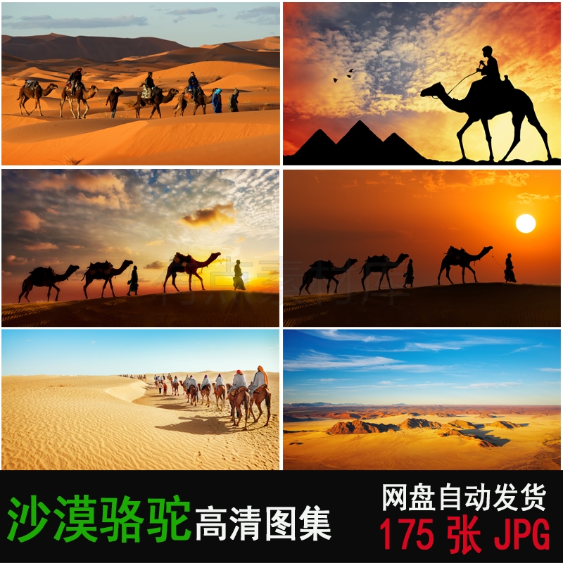 高清唯美沙漠沙丘荒原荒漠骆驼沙子沙漠驼队骆驼图片PS素材