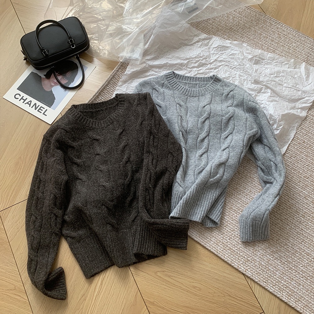 2025秋冬韩版圆领麻花纹简约长袖套头打底衫百搭上衣女士