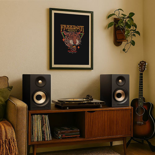 Polkaudio/普乐之声 polk/A200大功率蓝牙电脑客厅HIFI有源音箱