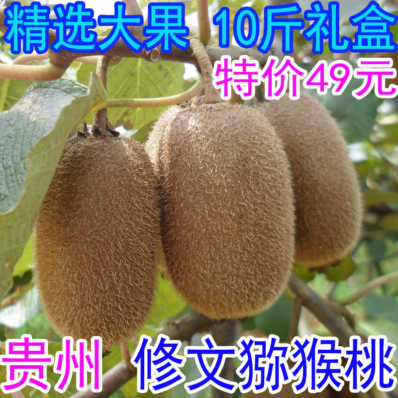 正宗贵州修文贵长猕猴桃 新鲜绿心奇异果 农家水果5斤10斤礼盒装图片