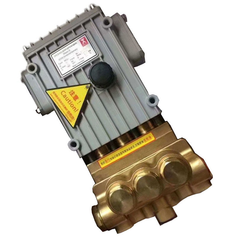 斯贝克德国SPECK高压泵P51/135-90三柱塞清洗机船舶码头压力水泵