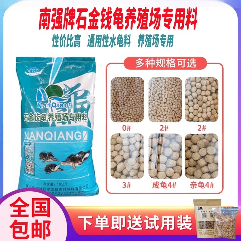 南强牌618养殖场石金钱乌龟宠物龟巴西火焰鳄鱼草龟高蛋白半水龟