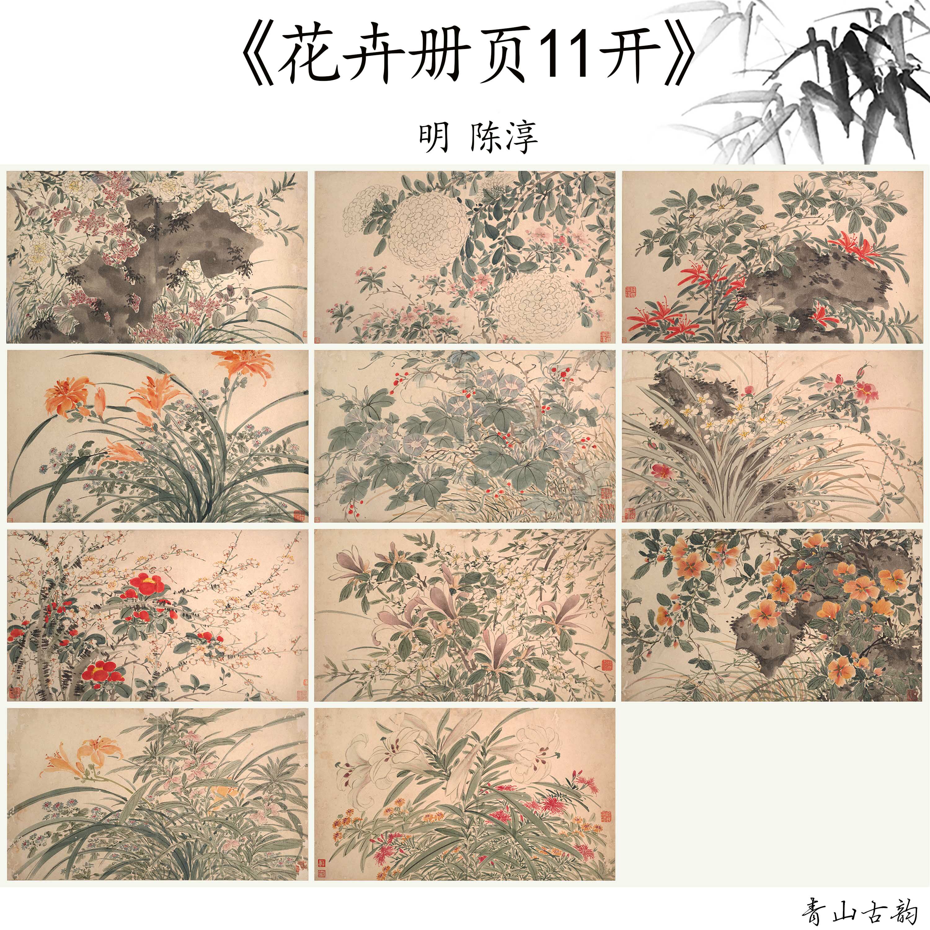 明陈淳花卉册页十一张国画