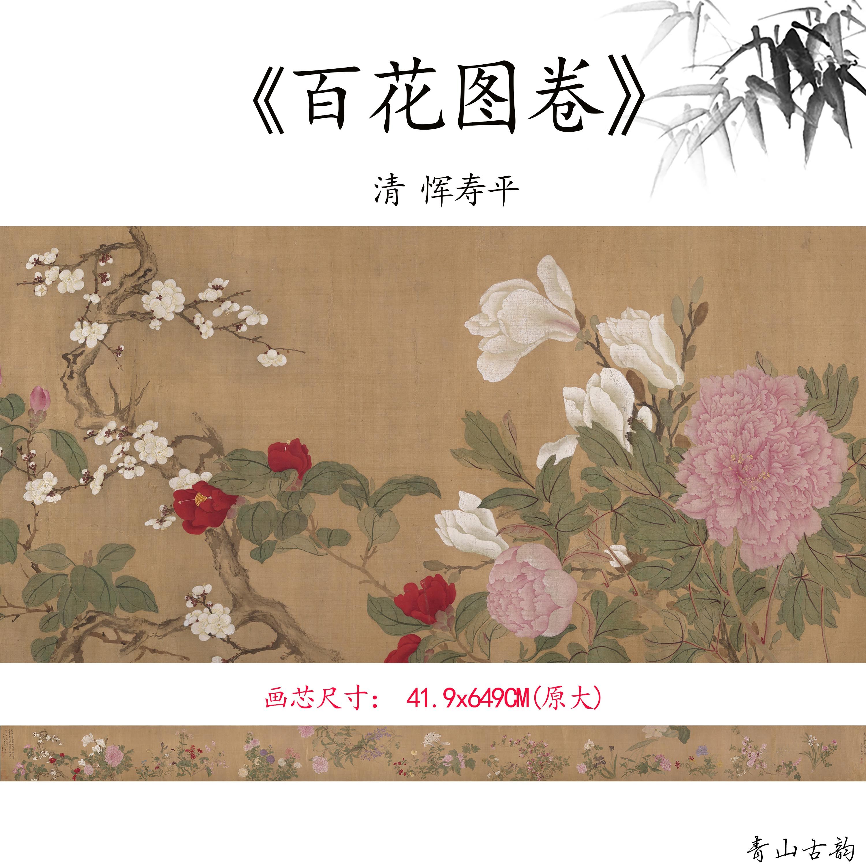 11清恽寿平百花图字画高清植物
