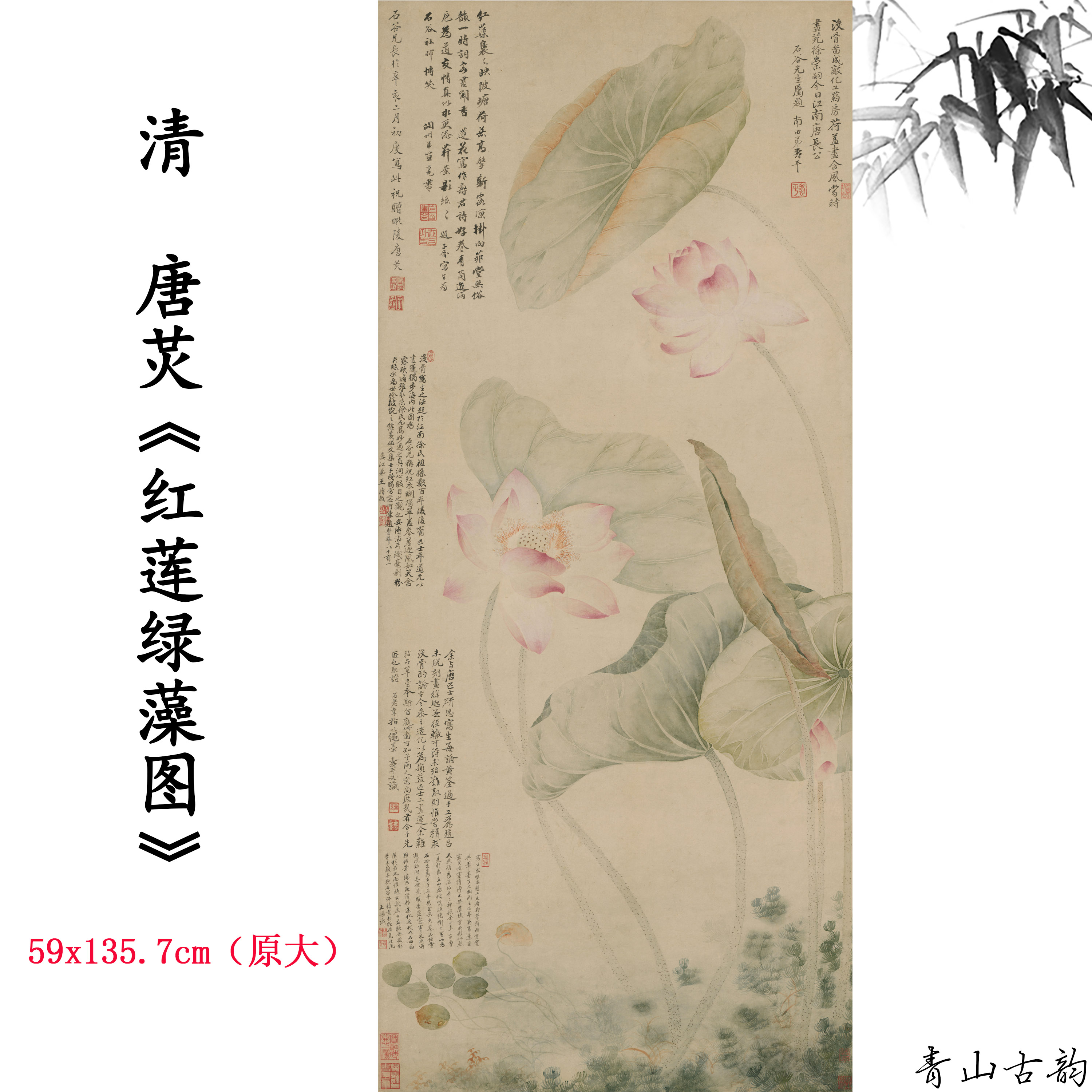 1:1清  唐炗 恽寿平 红莲绿藻图荷花国画装饰画高清喷绘复制临摹图片