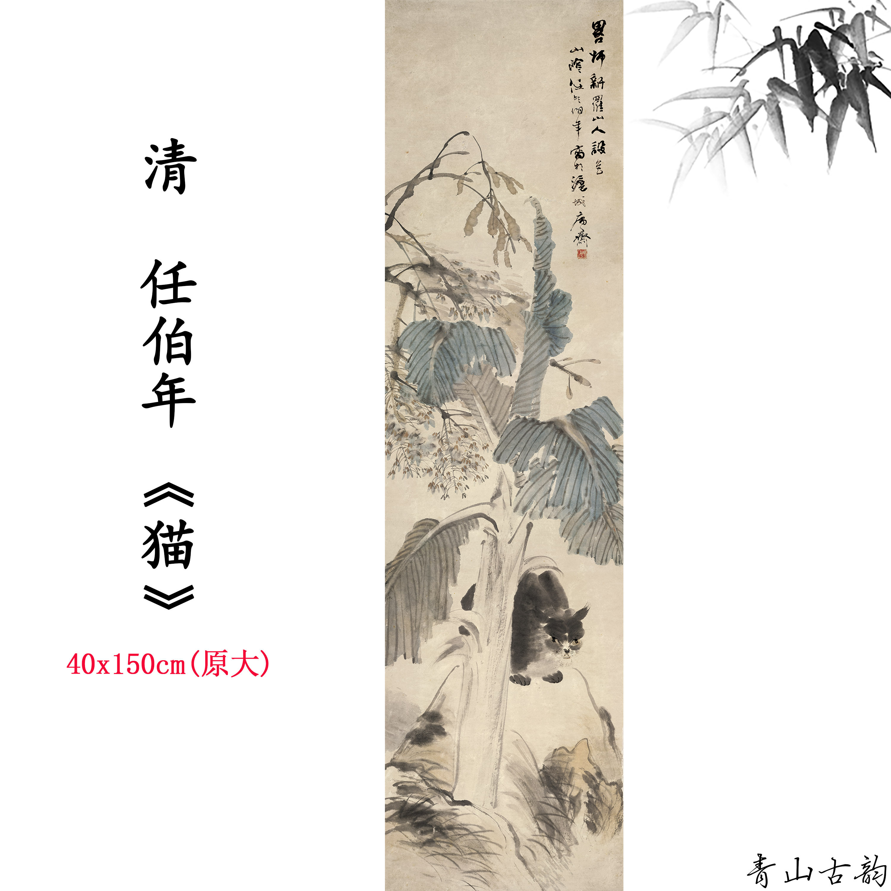 清任伯年猫动物猫咪国画