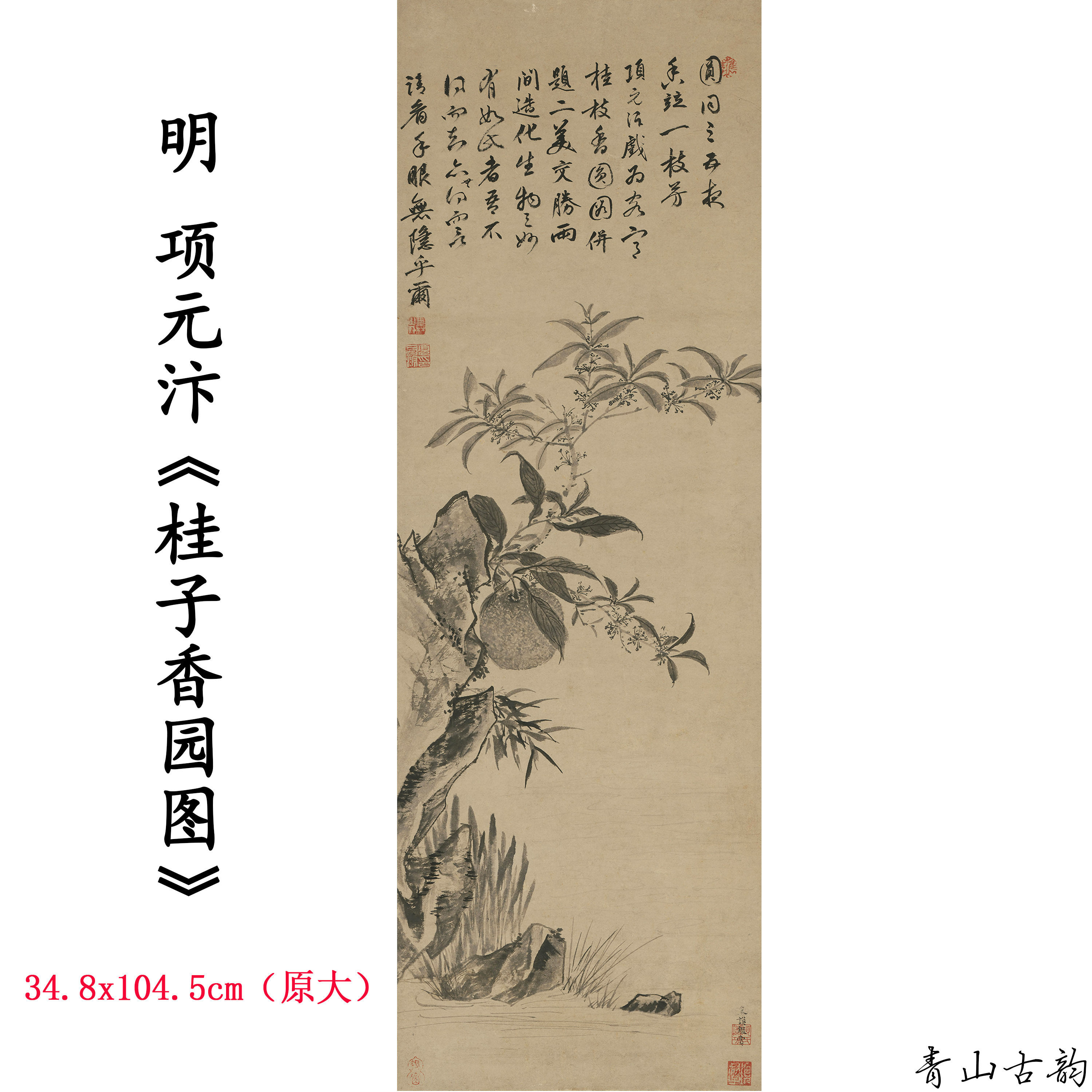 1:1明 项元汴 桂子香园图 花卉国画装饰画高清喷绘复制临摹范本