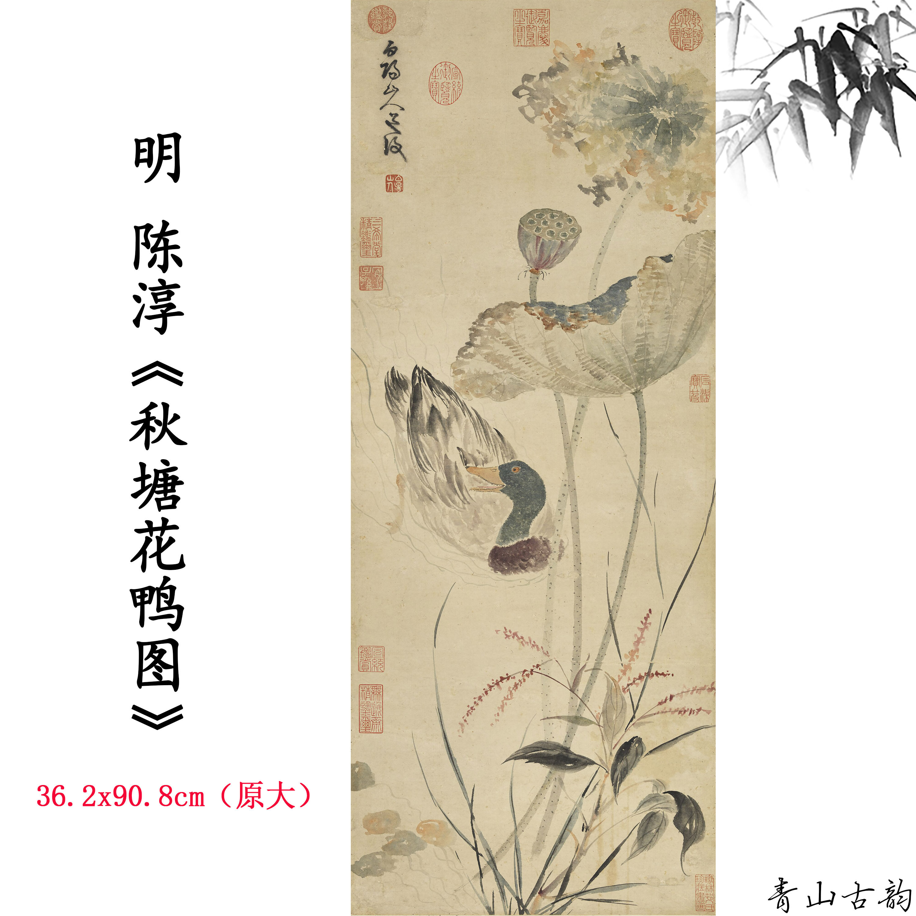 1:1明代陈淳 秋塘花鸭图莲蓬水鸭国画装饰画高清喷绘复制临摹范本