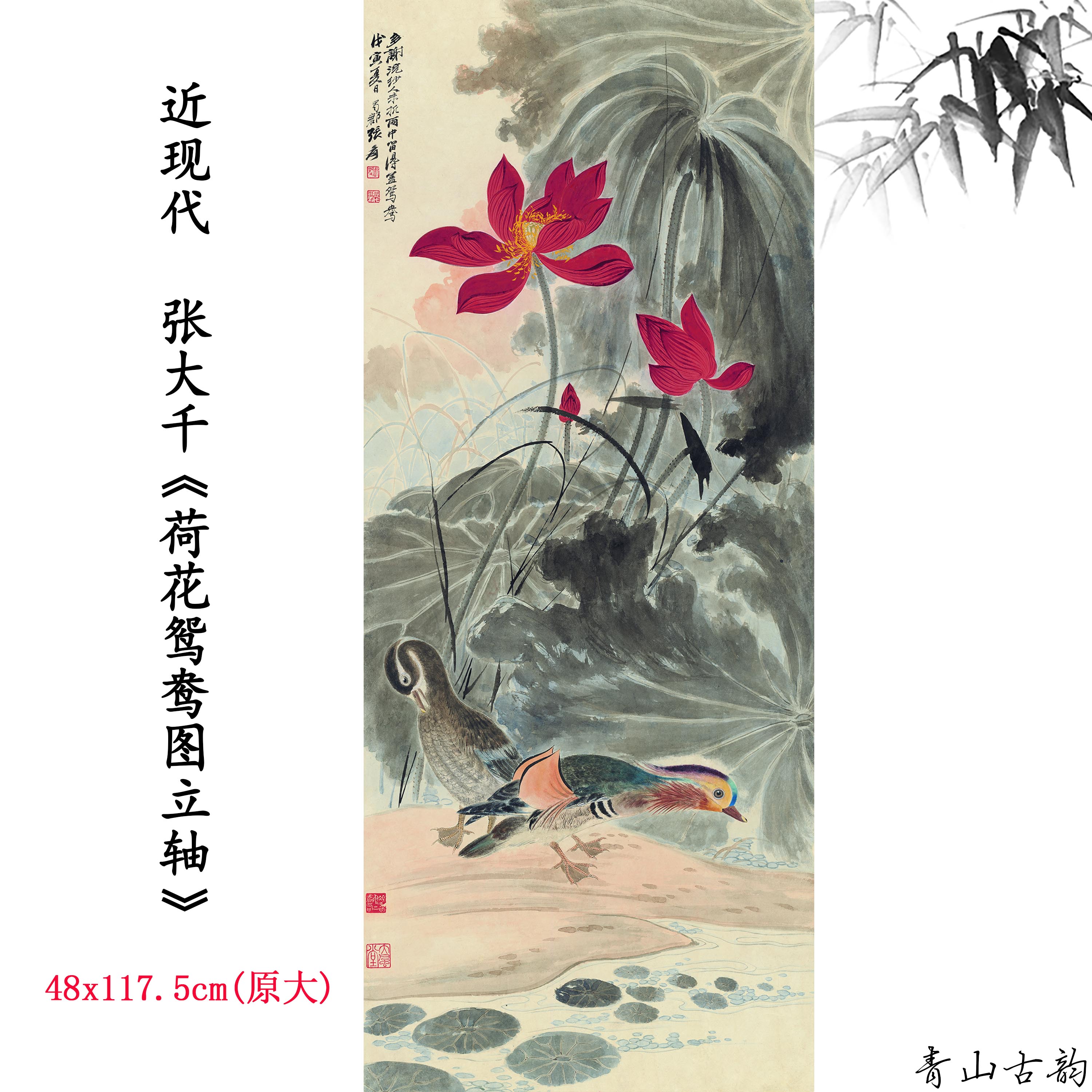 1:1近现代张大千 荷花鸳鸯图立轴国画装饰画高清喷绘复制临摹范本图片