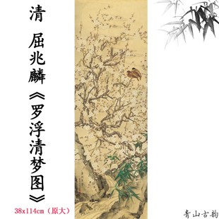 新品清 屈兆麟 罗浮清梦图工笔花鸟画装饰画高清微喷复制临摹范本