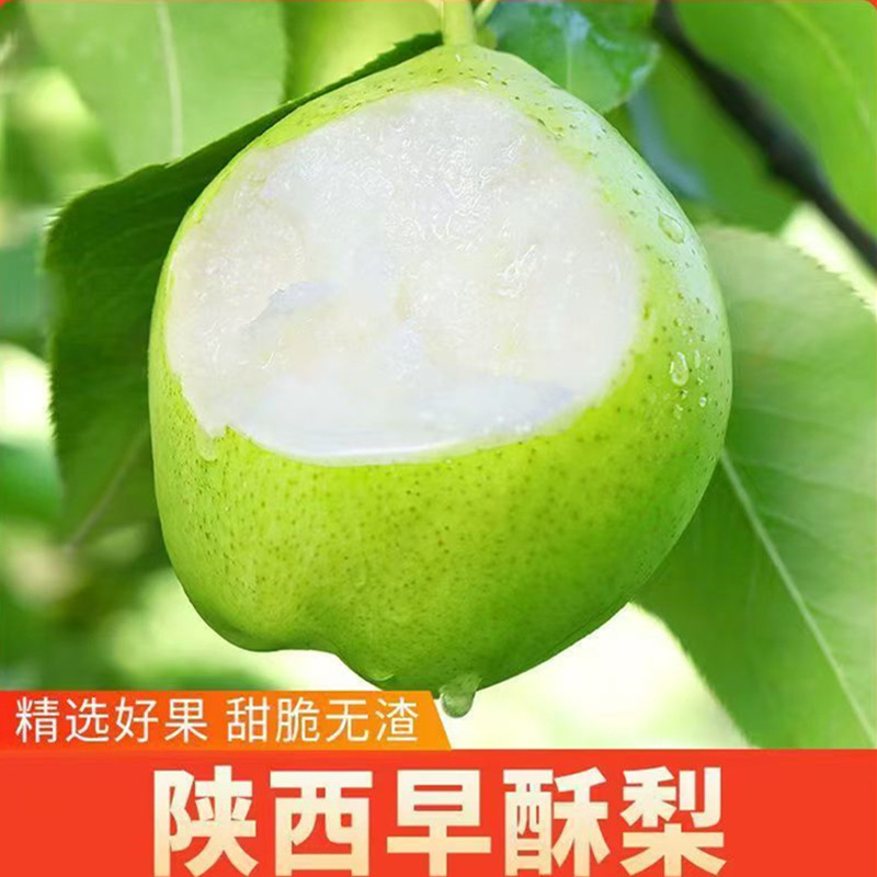 2026年陕西早酥梨脆甜多汁青皮梨