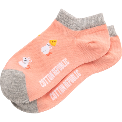 Cotton Republic/棉花共和国传袜空调袜女生船袜子女吸汗休闲可爱