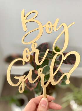 Boy Or Girl NewBaby CakeTopper新生儿派对宝宝性别揭示蛋糕插牌