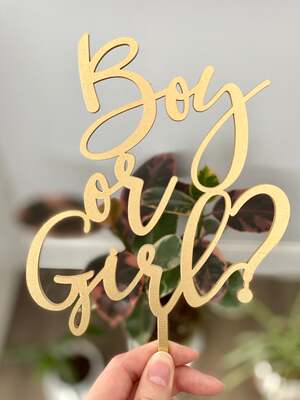 新生儿派对宝宝性别蛋糕插牌